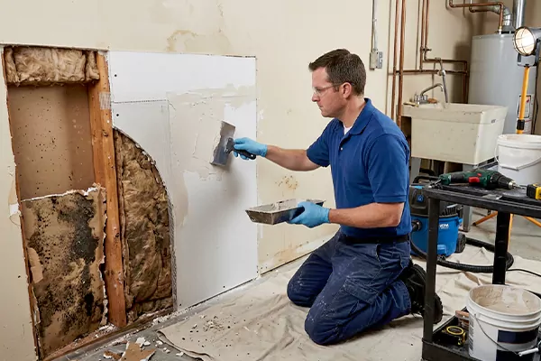 Mold and Drywall Repair Nampa