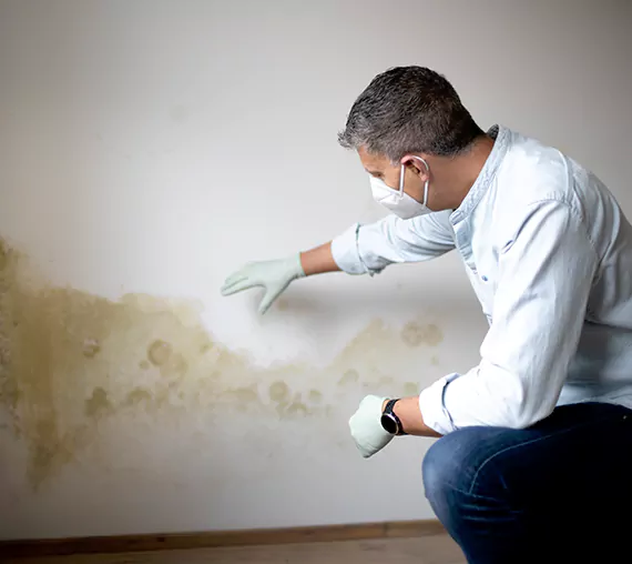 Mold Removal Service in Nampa, ID