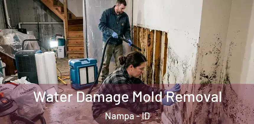  Water Damage Mold Removal Nampa - ID